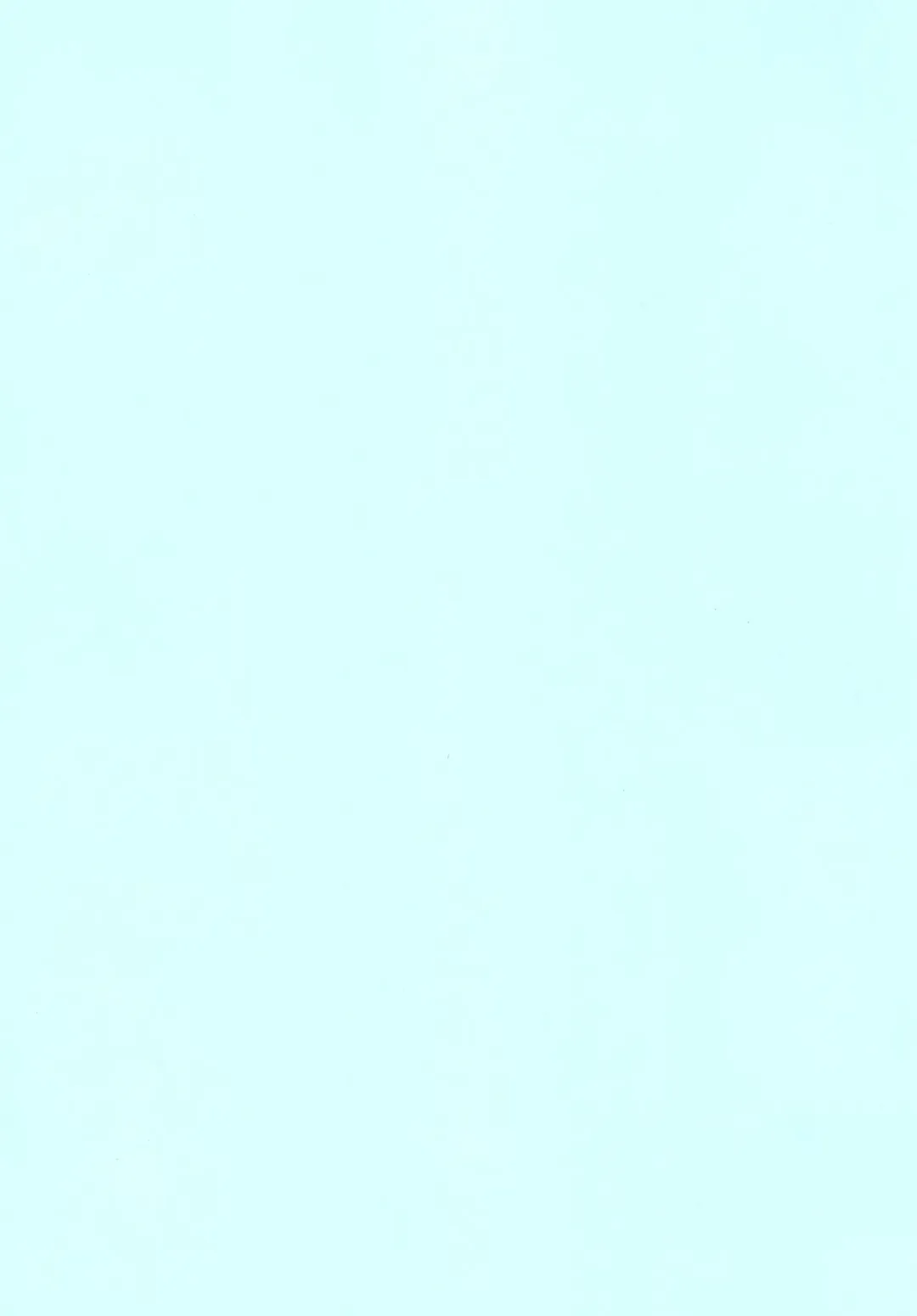 [Sankuro] Tokyo Yousoro Fhentai - Page 26