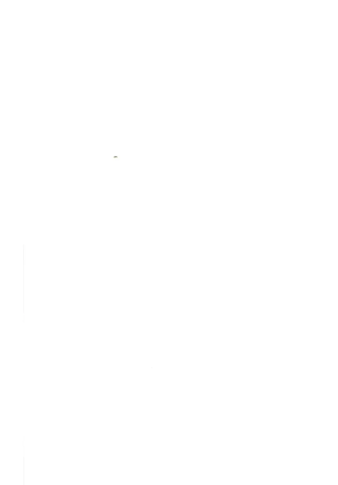 [Zhen Lu] Fuchou no Sakusei Ryouhou Fhentai - Page 27