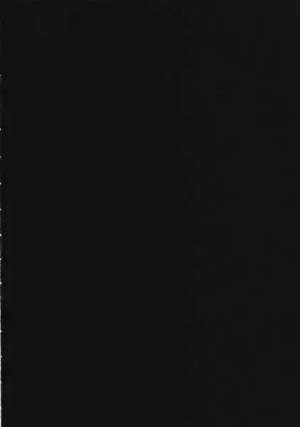 [D.hiranuma] Grapplita Fhentai - Page 2