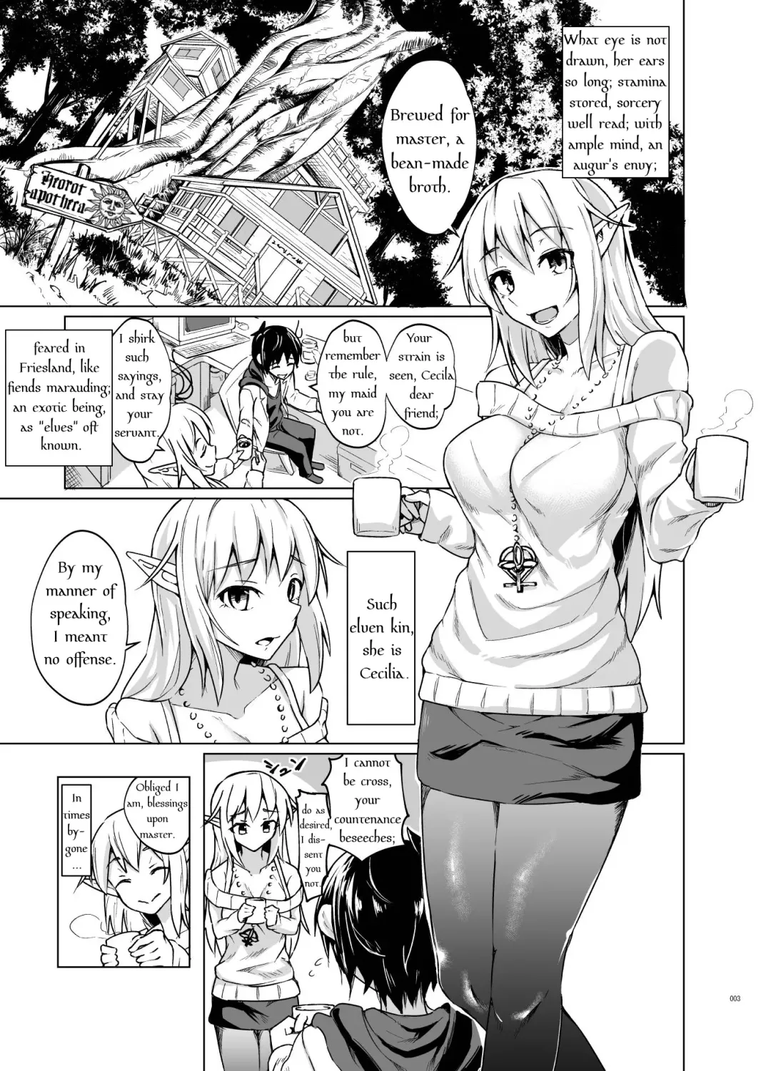 [Stealth Changing Line - Sundown] Toaru Elf o Hikitorimashite | Taking Care of a Certain Elf Fhentai - Page 2