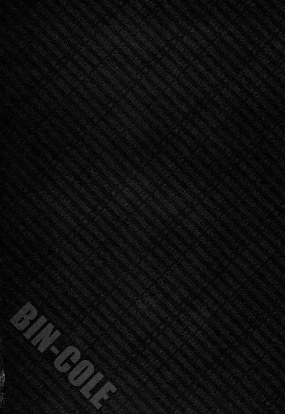 [Miyazaki Maya] BinColle - Binkan Collection Fhentai - Page 4