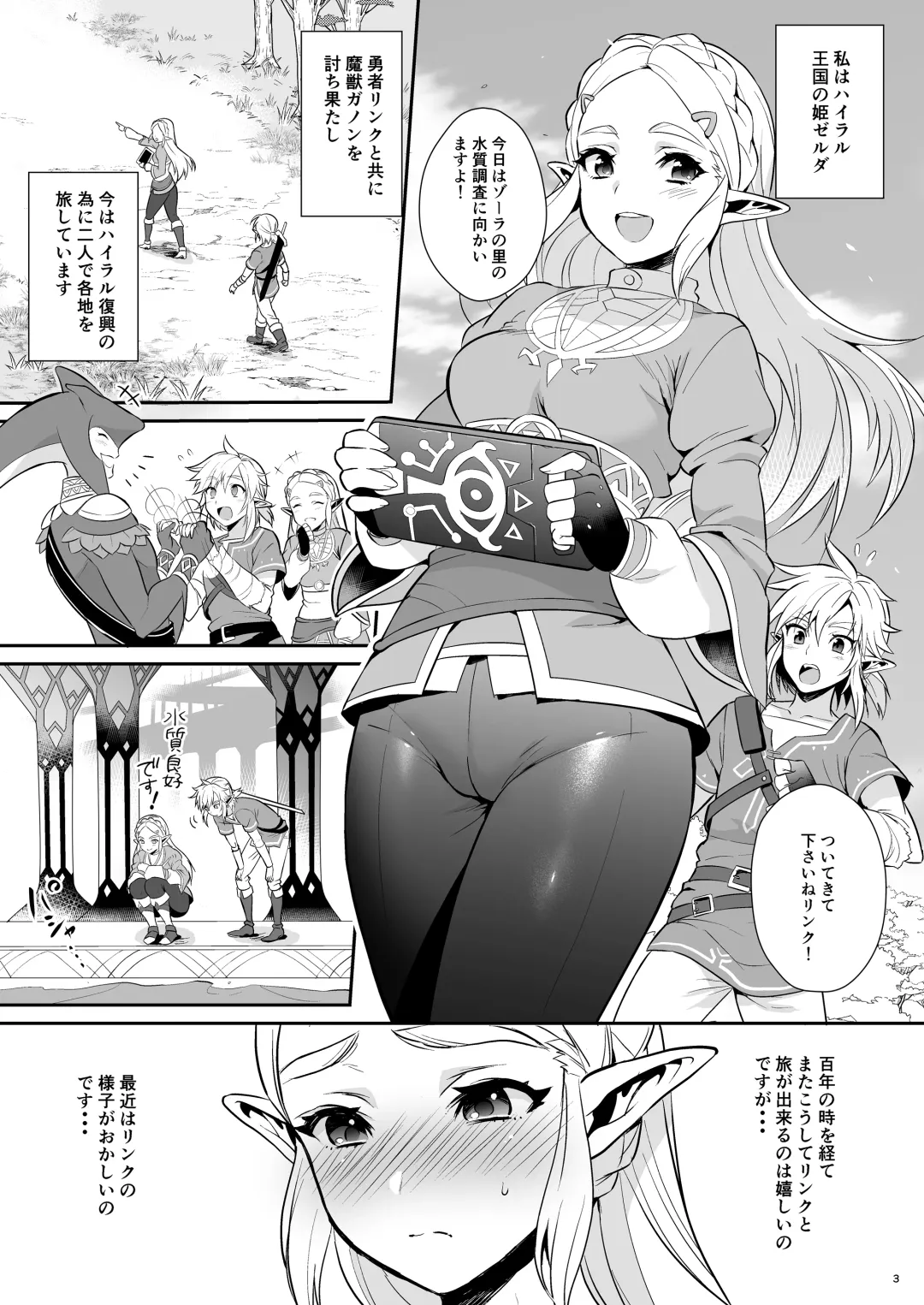 [Morikoke] Hyrule Hanei no Tame no Katsudou! Fhentai - Page 4