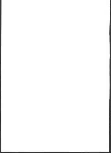 [Bosshi] Ryuu no Yome - Dragon Waifu Fhentai - Page 24