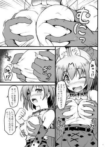 [Onsoku Zekuu] Kemonogatari Fhentai - Page 5