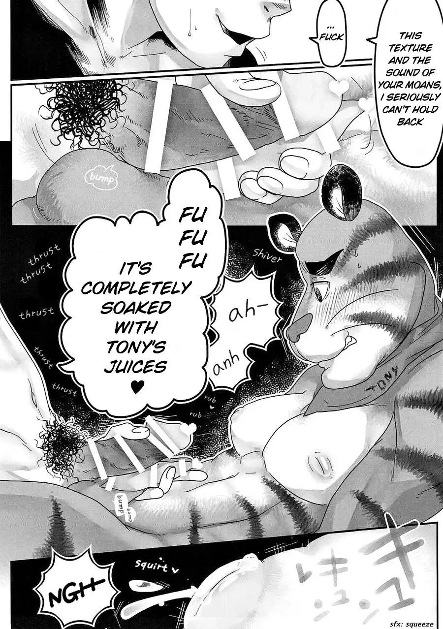 [Donguri] Tora Chichi Sakunyuu | Milking Tiger Tiddies Fhentai.net - Page 13