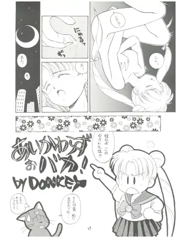 [Daikyojin] Rururun Fhentai - Page 17