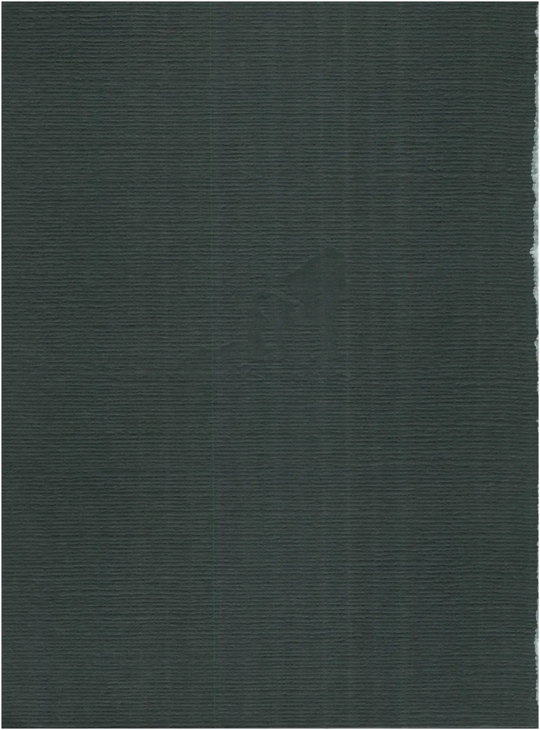 [Woody] MAGIC GALS F Fhentai - Page 101