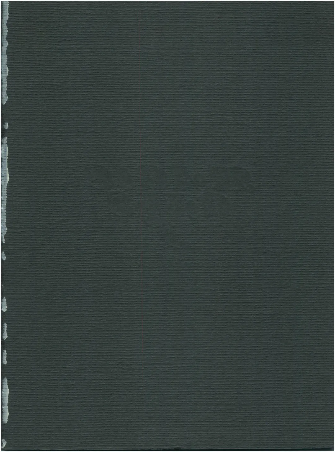 [Woody] MAGIC GALS F Fhentai - Page 2