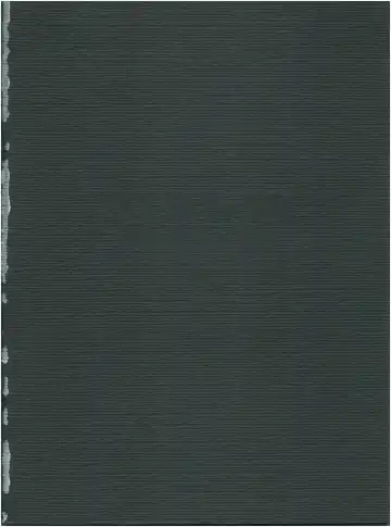 [Woody] MAGIC GALS F Fhentai - Page 2