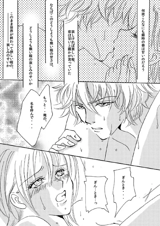 [Yanagi] 銀月小説ダイジェスト漫画 Fhentai.net - Page 10