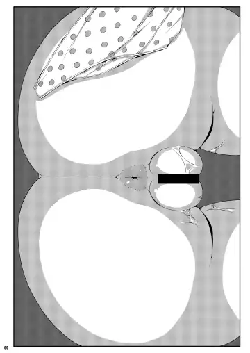 [Sugiura Sen] Ketsu Darake Touhou Soushuuhen Series 2 Fhentai - Page 60