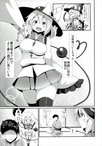 [Sinori] Koishi-chan no Ecchi na Hon Matome! Fhentai - Page 27