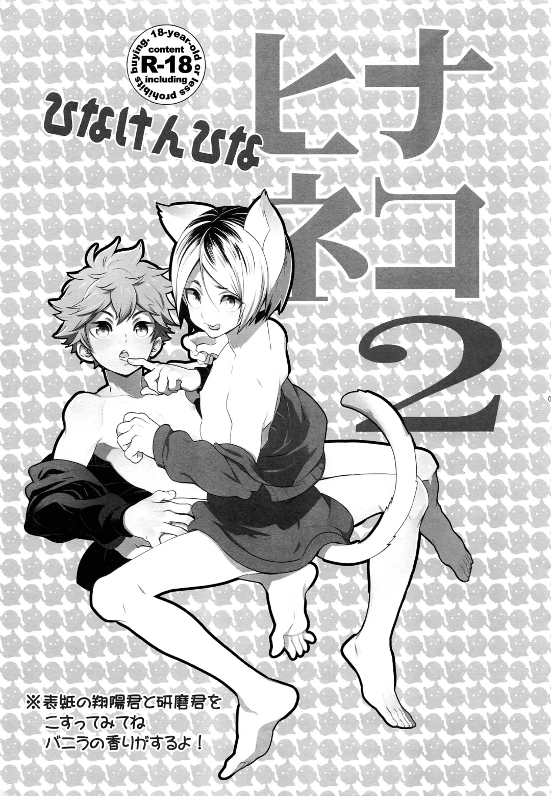 [S.kosugi] Hina Neko 2 Fhentai - Page 2