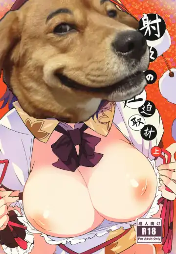 [Puuakachan] Shameimaru Aya no Appaku Shuzai Jou Fhentai - Page 18