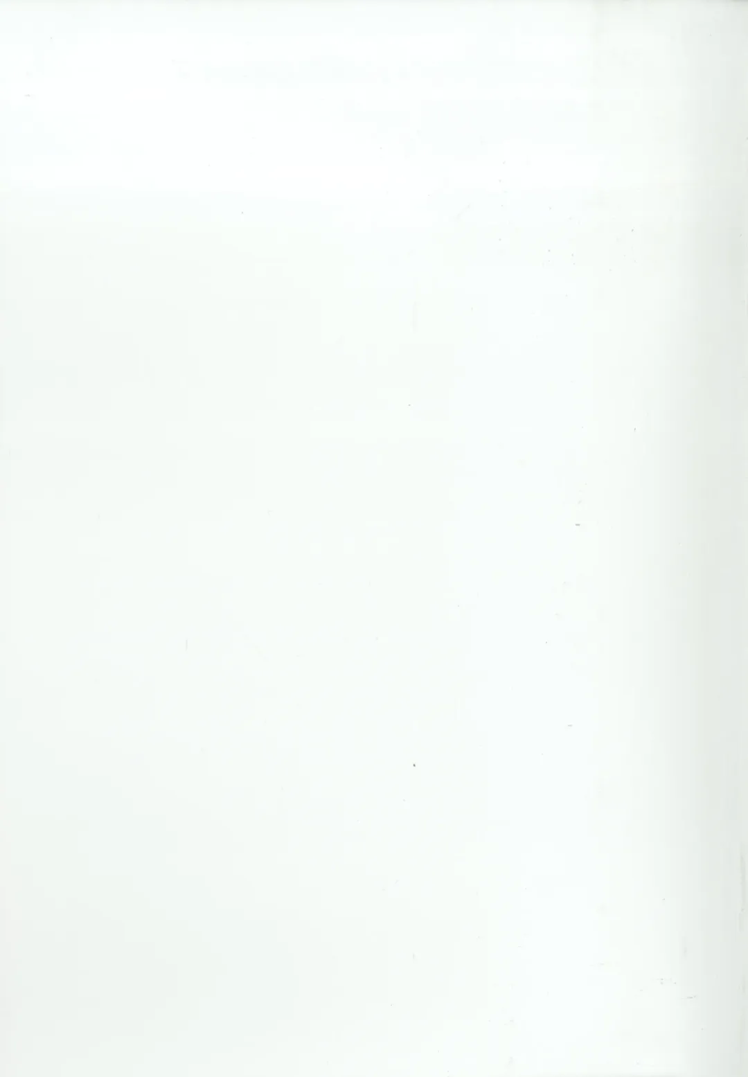 [Gibuchoko] Touhou Chireidon ~Touhou Chireiden Shikijousho Soushuuhen~ Fhentai - Page 87