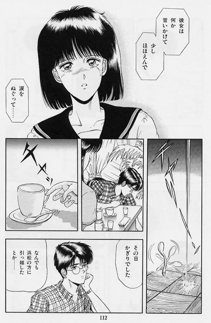 [Tokizumi Emishi] Kaze no Higashi no Tsuki no Mori 2 Fhentai - Page 114