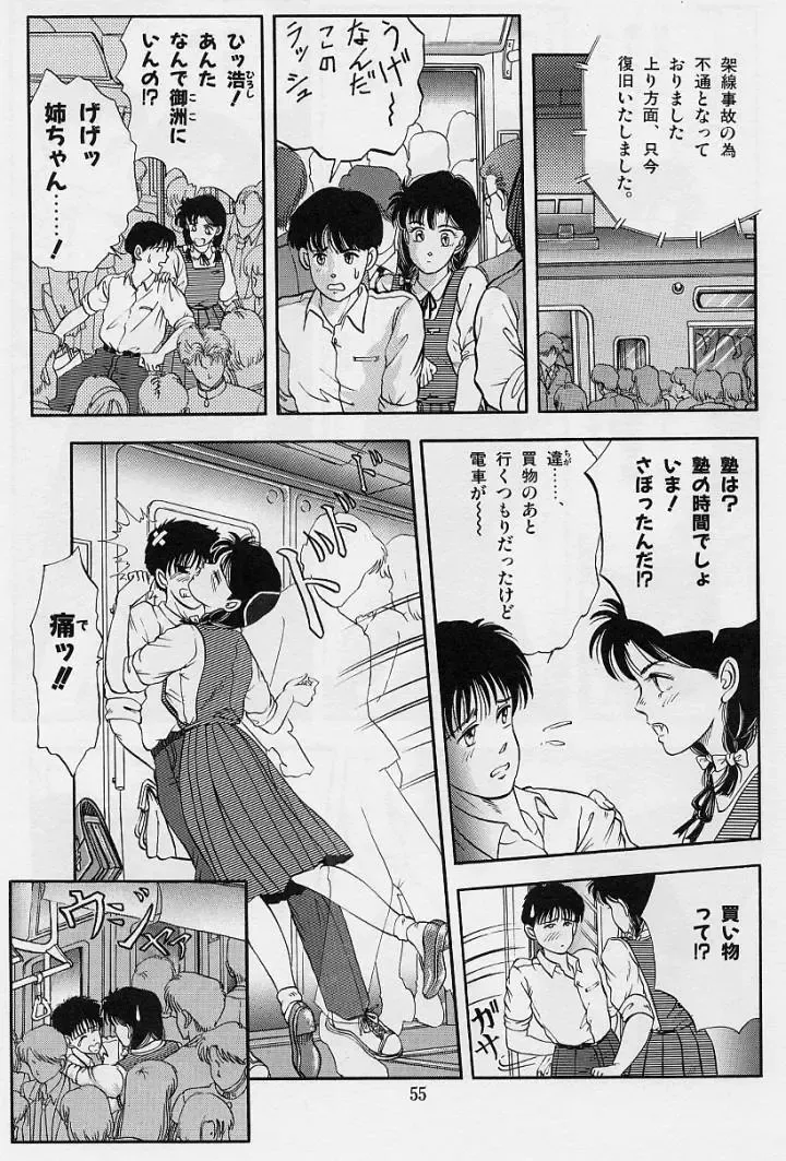 [Tokizumi Emishi] Kaze no Higashi no Tsuki no Mori 2 Fhentai - Page 57