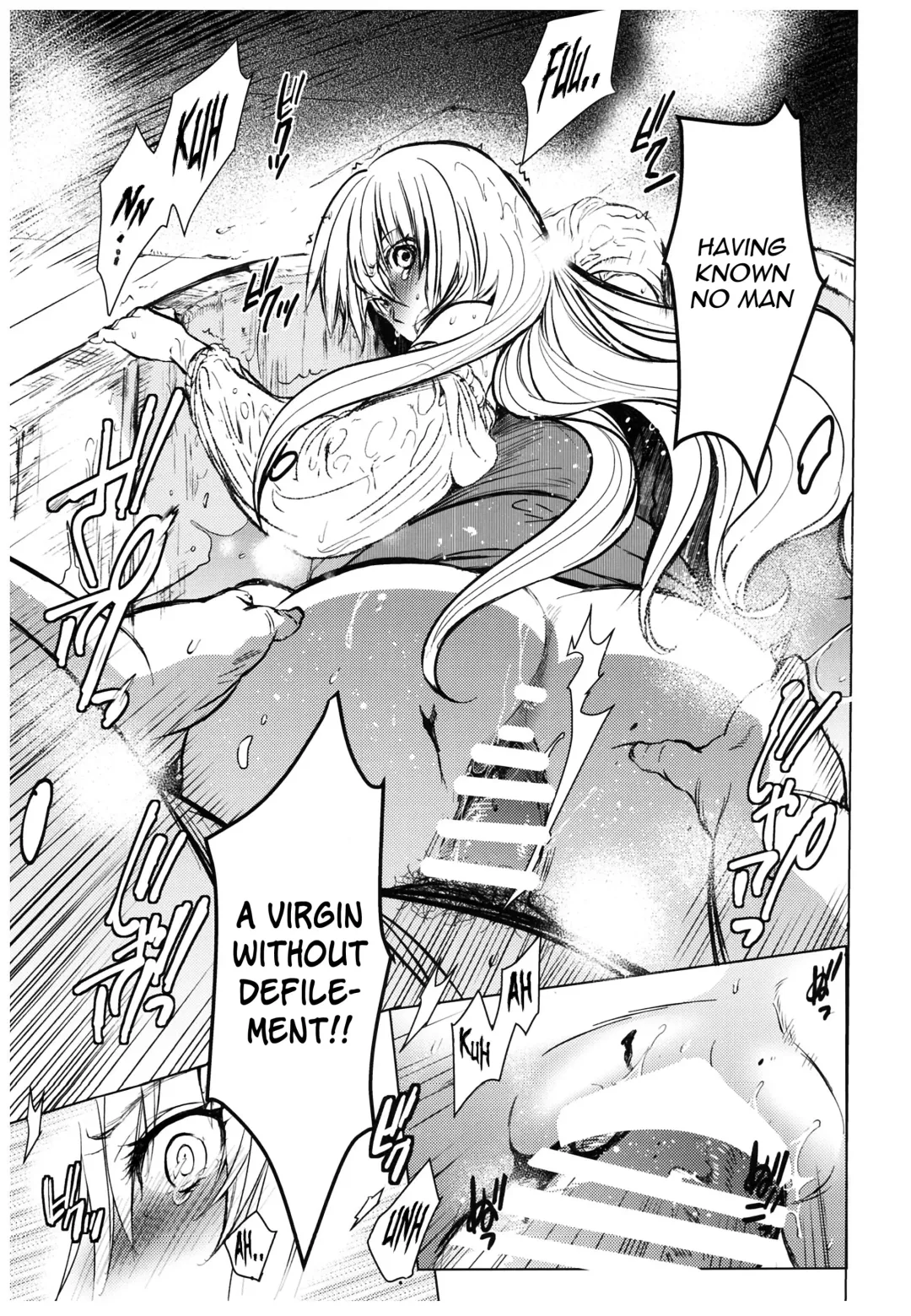 [Heizo - Kitoen] Saint Foire Festival 11 Aline Fhentai - Page 13