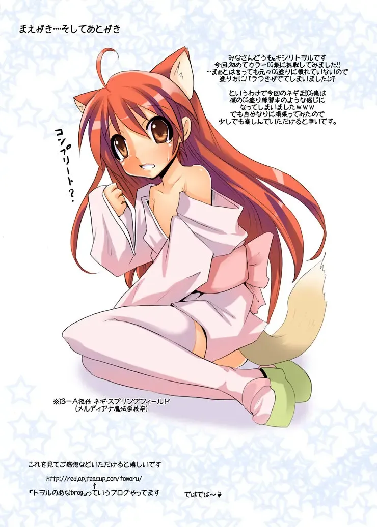 [Kishiri Toworu] Mahou Sensei NegiMatsuri! Fhentai - Page 4