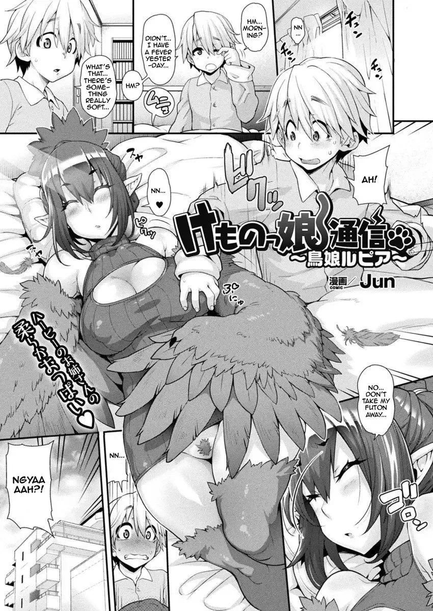 [Jun] Kemonokko Tsuushin ~Toriko Rupia~ | Animal Girl Hotline ~ Bird Girl Rupia (decensored) Fhentai.net - Page 1