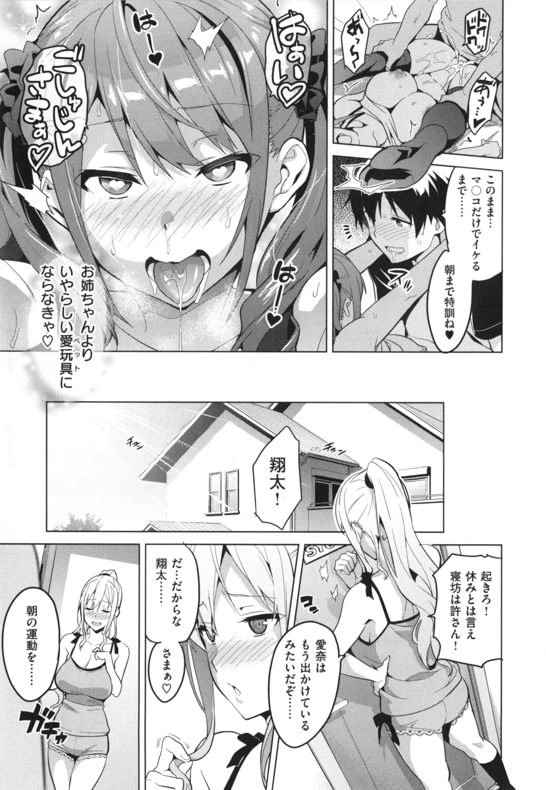 [Takeda Hiromitsu] Sister Breeder + Toranoana、Melonbooks Gentei Tokuten Fhentai.net - Page 62