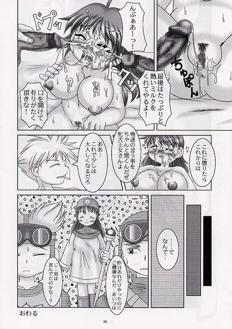 DRAGONQUEST nirvana Fhentai.net - Page 29