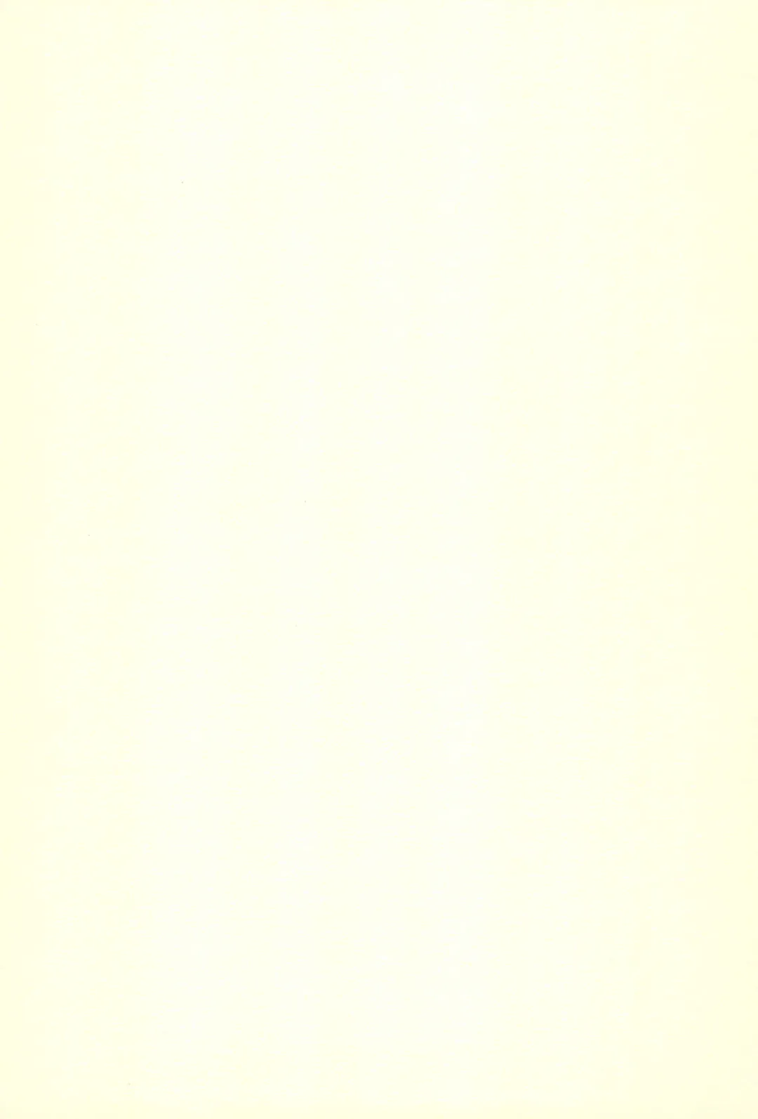 [Shiramayumi] Magejun 9 Fhentai - Page 19