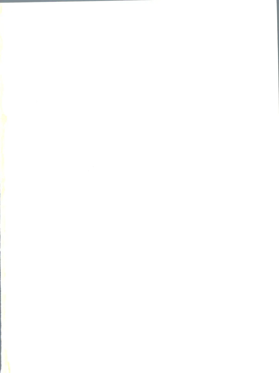 ZABON 8 Fhentai - Page 2