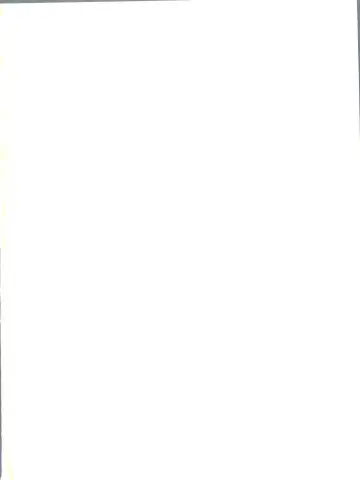 ZABON 8 Fhentai - Page 2