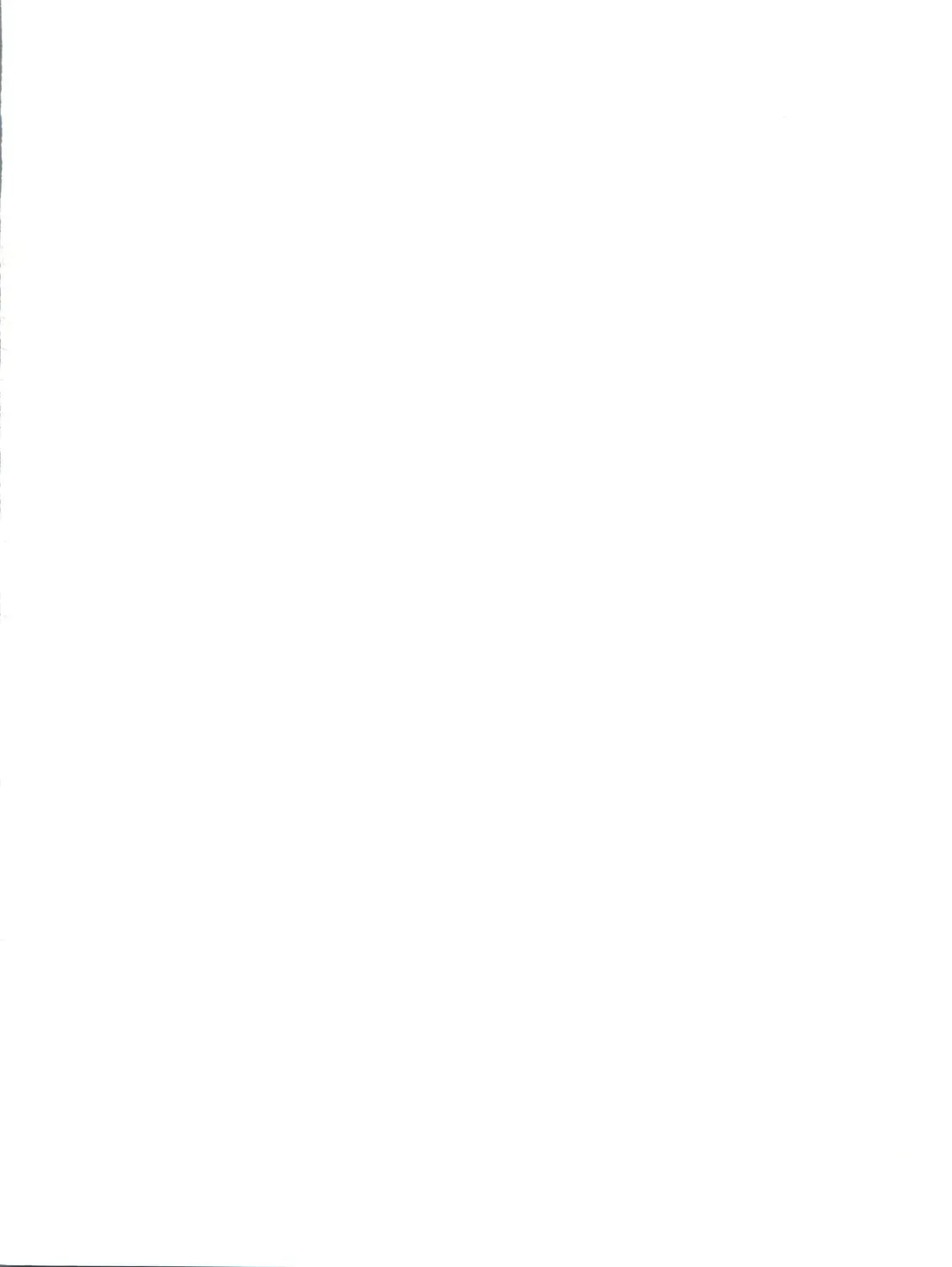 [Itaba Hiroshi] Nisemono 7 Fhentai - Page 3