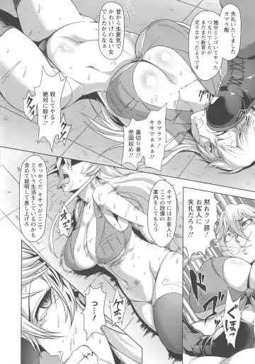 [Kuro Fn] Mesubuta Tenrakuroku Fhentai - Page 30