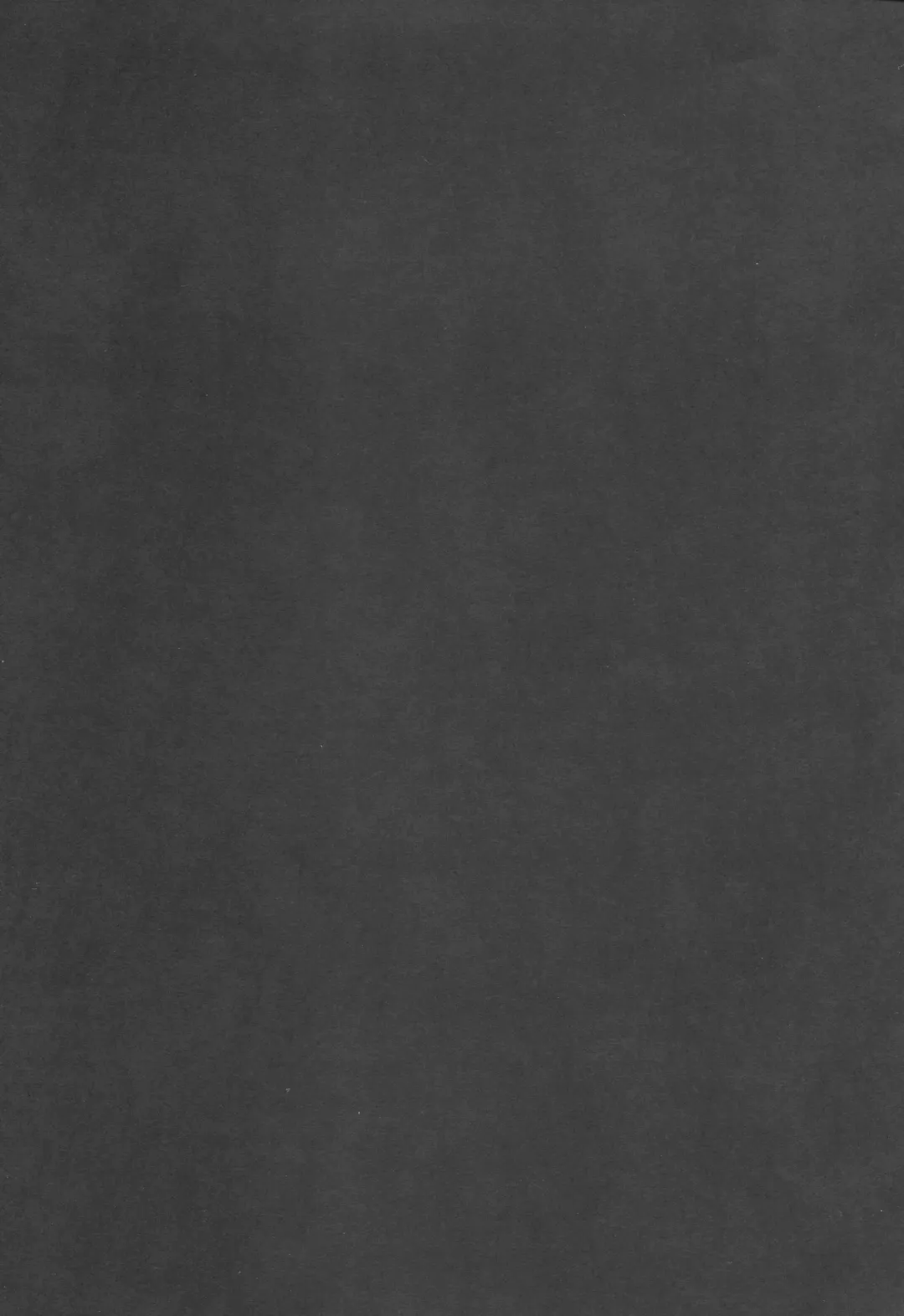 [Nijou Katame] Tokitsukaze to Isshoni. San Fhentai - Page 20