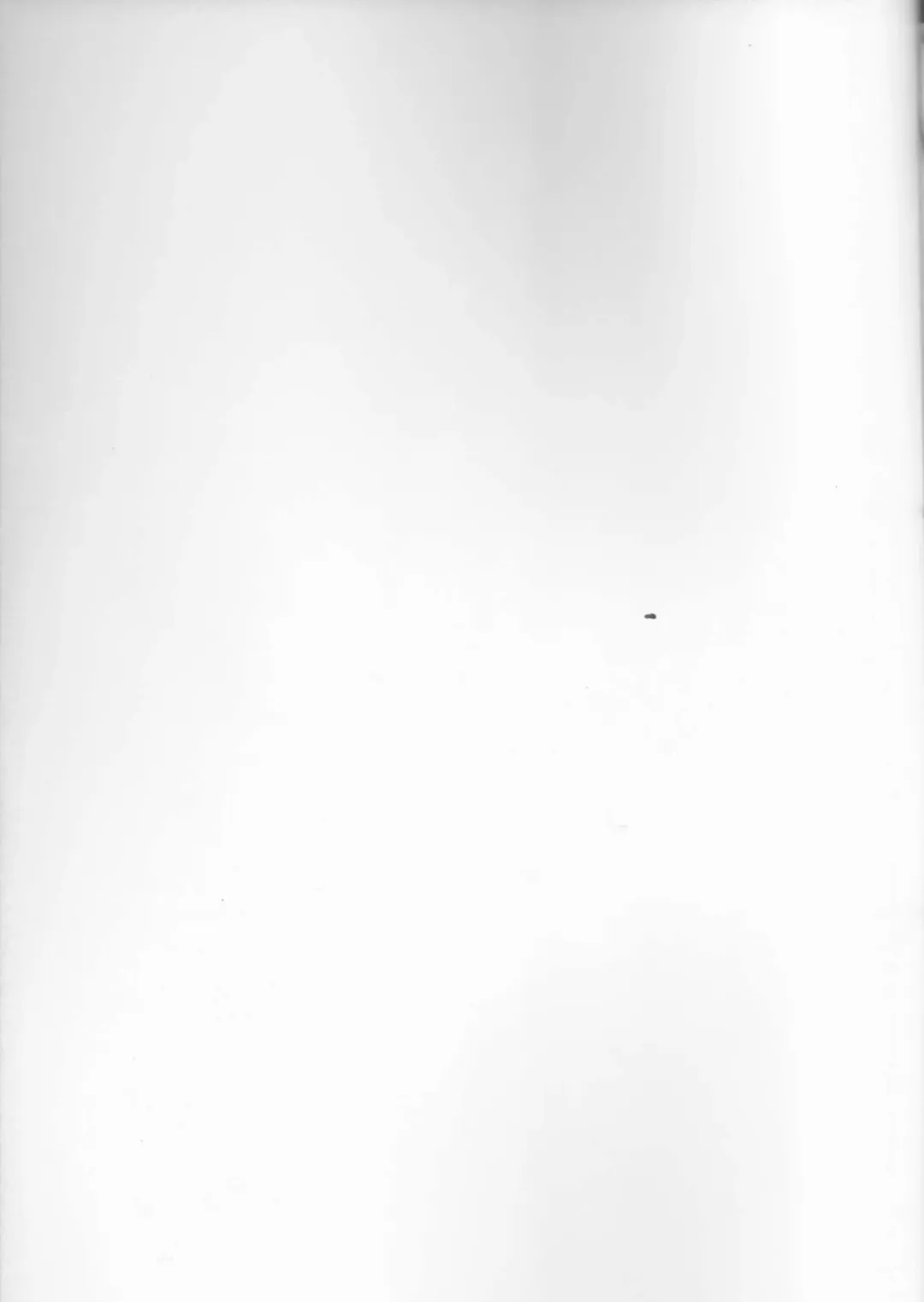 [Bang-you - Shindou] Pesorna Fhentai - Page 2