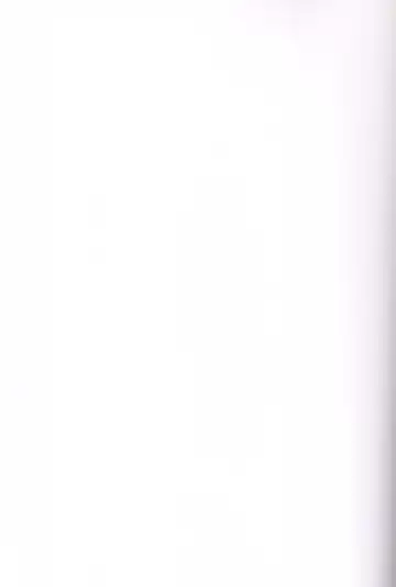 [Yuu] Boogie Woogie*Pine Fhentai - Page 2