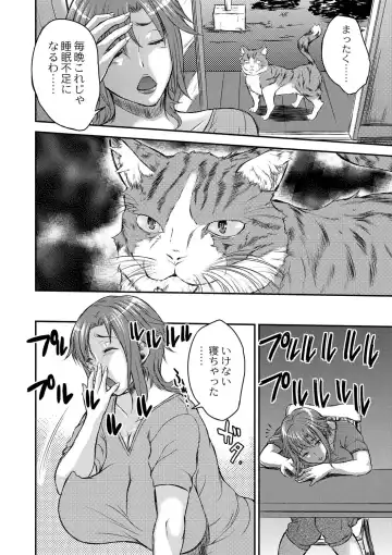 [Wakatsuki] Inbi na Jukujo no Chichi Shibori. Fhentai - Page 50