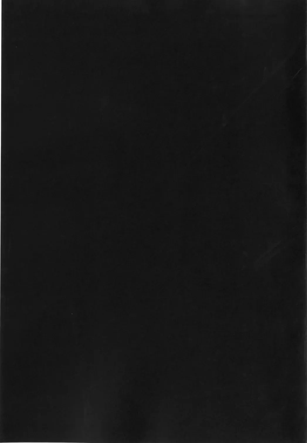 [Rabbi] Crossbell no Senka Fhentai - Page 53