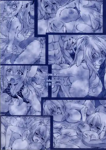 [Kirisawa Tokito] Sorrow Rain Fhentai - Page 26