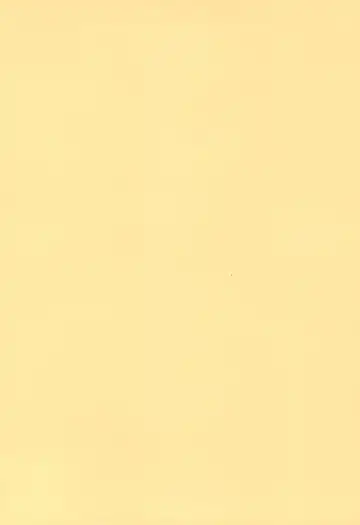 [Yamashita Woory] Vanpaiyan Fhentai - Page 2