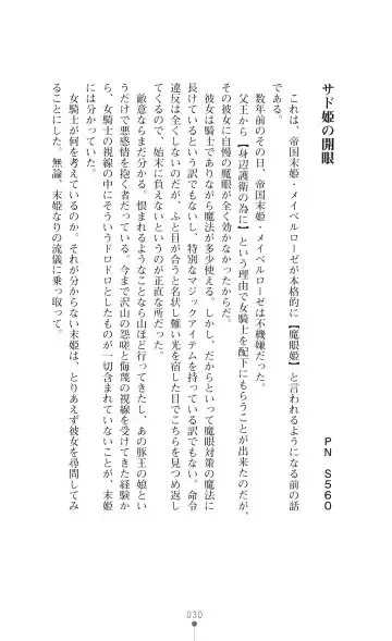 Icerya Eiyuusenki 3 Fhentai - Page 30