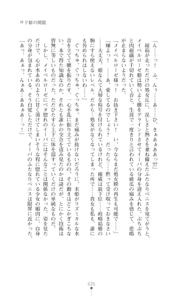 Icerya Eiyuusenki 3 Fhentai - Page 35