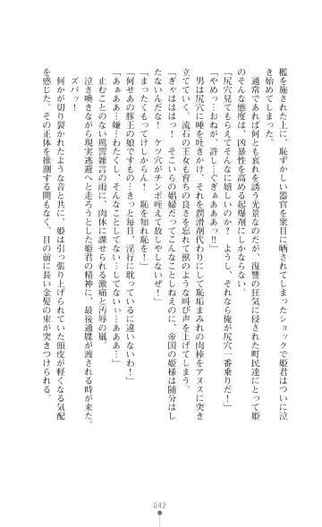 Icerya Eiyuusenki 3 Fhentai - Page 42