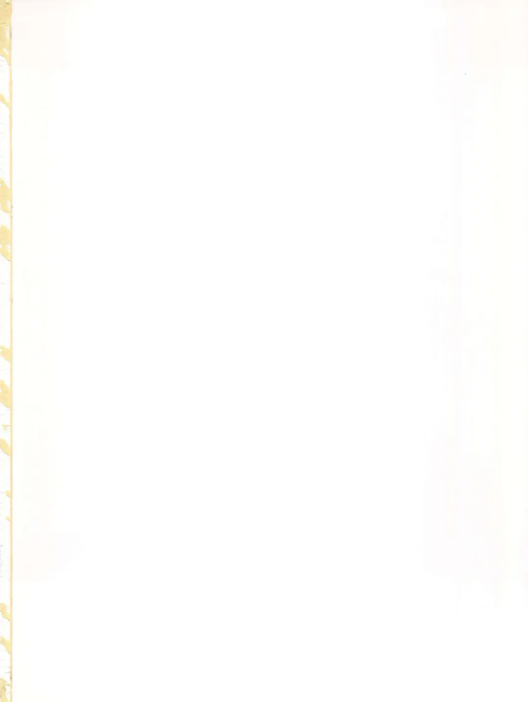 [Nanamatsu Kenji] Doitsu Umare no Otokonoko  Kanmusu Fhentai - Page 2