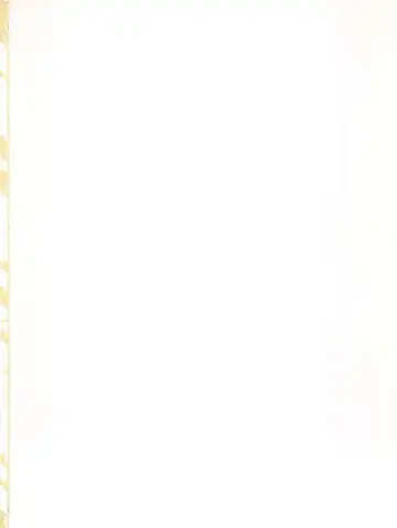 [Nanamatsu Kenji] Doitsu Umare no Otokonoko  Kanmusu Fhentai - Page 2