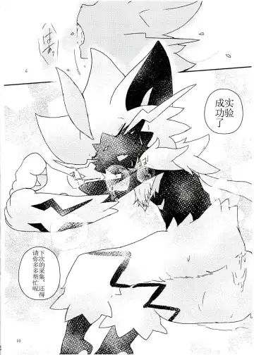 [Shiro] Toppatu File #ZERAORA Toppatsu Zeraora Hon Fhentai - Page 10