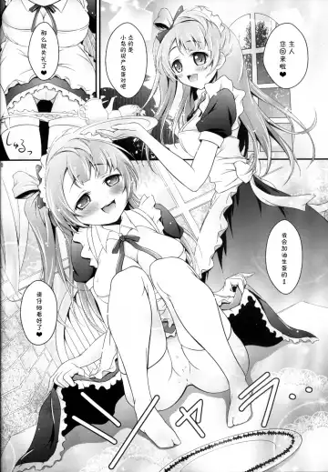 [Akki] Kotori no H na Hon. Fhentai - Page 10