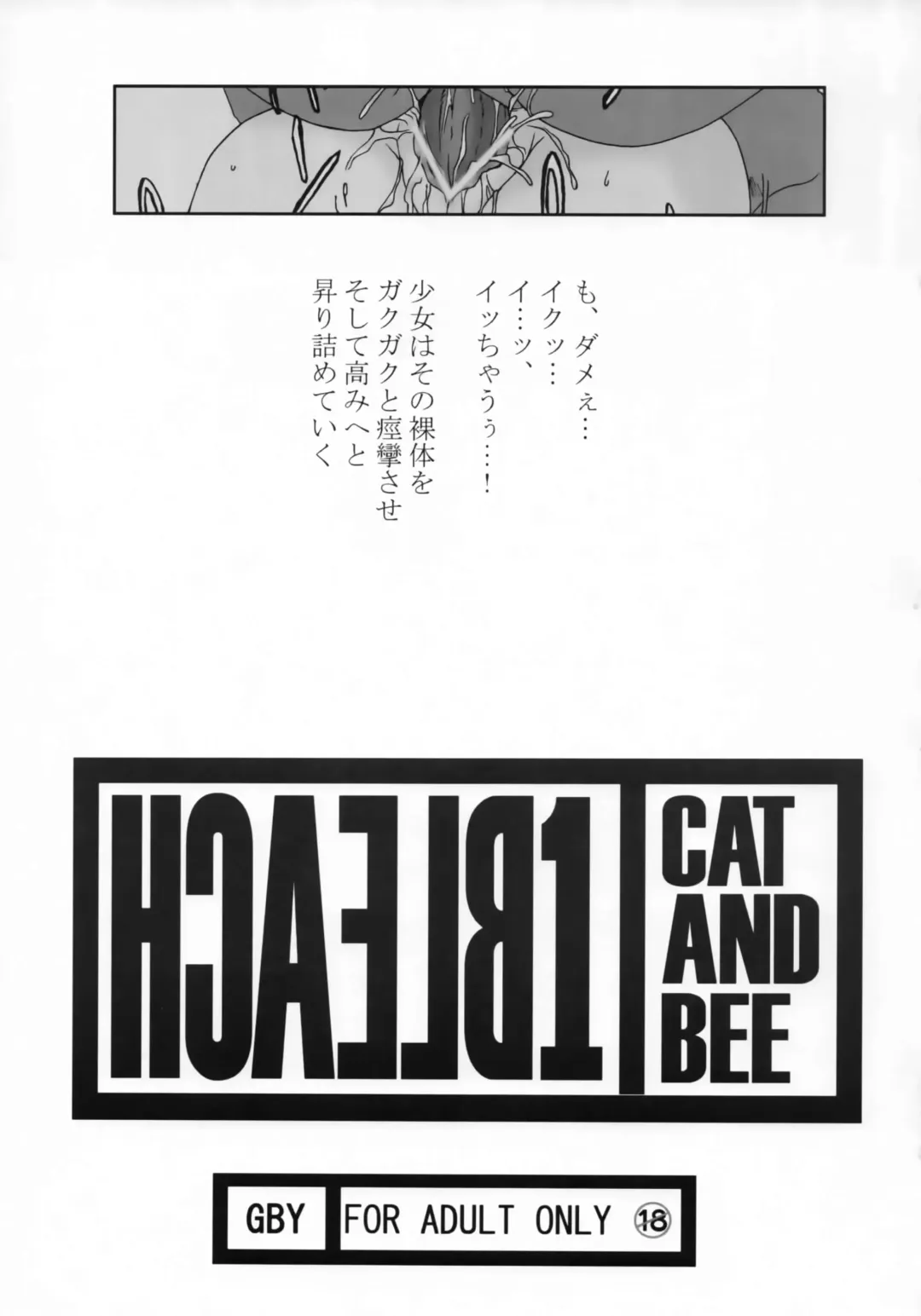 [Tachibana Kai] HCAELB -Ura Bleach- Fhentai - Page 2