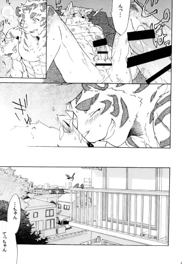 [Kibayashi Oji] Gin Iro no Tetsu Fhentai - Page 27