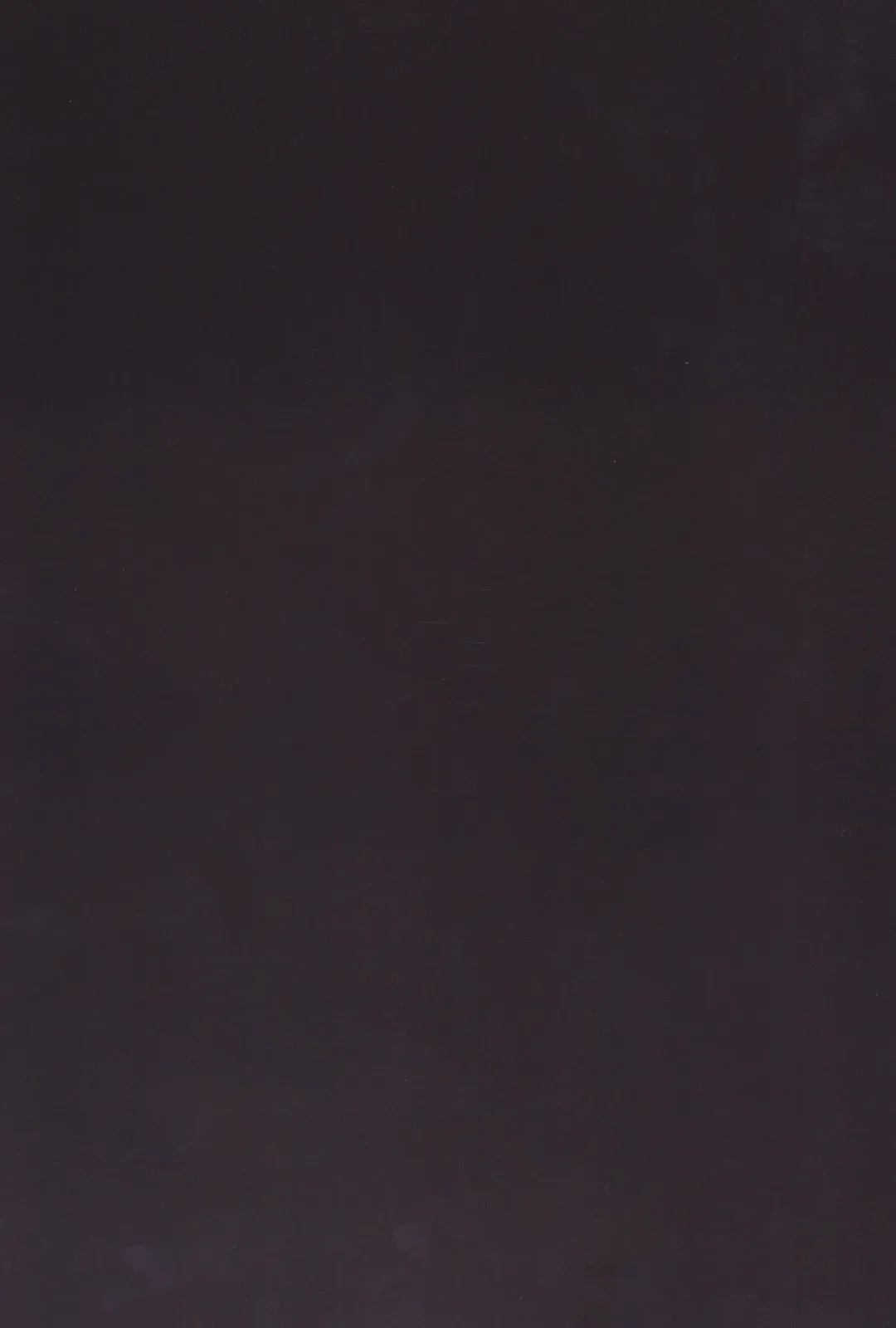 [Sugiyuu] Nikuningyou Alice Margatroid Fhentai - Page 17