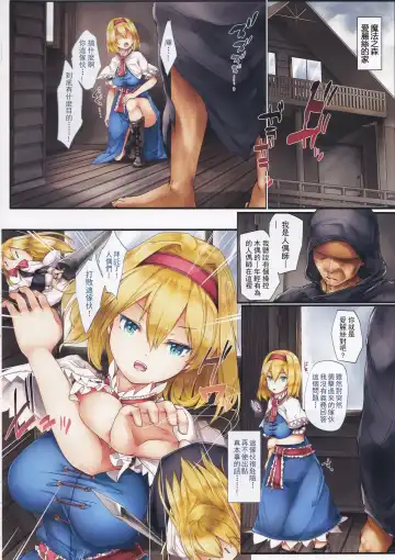 [Sugiyuu] Nikuningyou Alice Margatroid Fhentai - Page 4