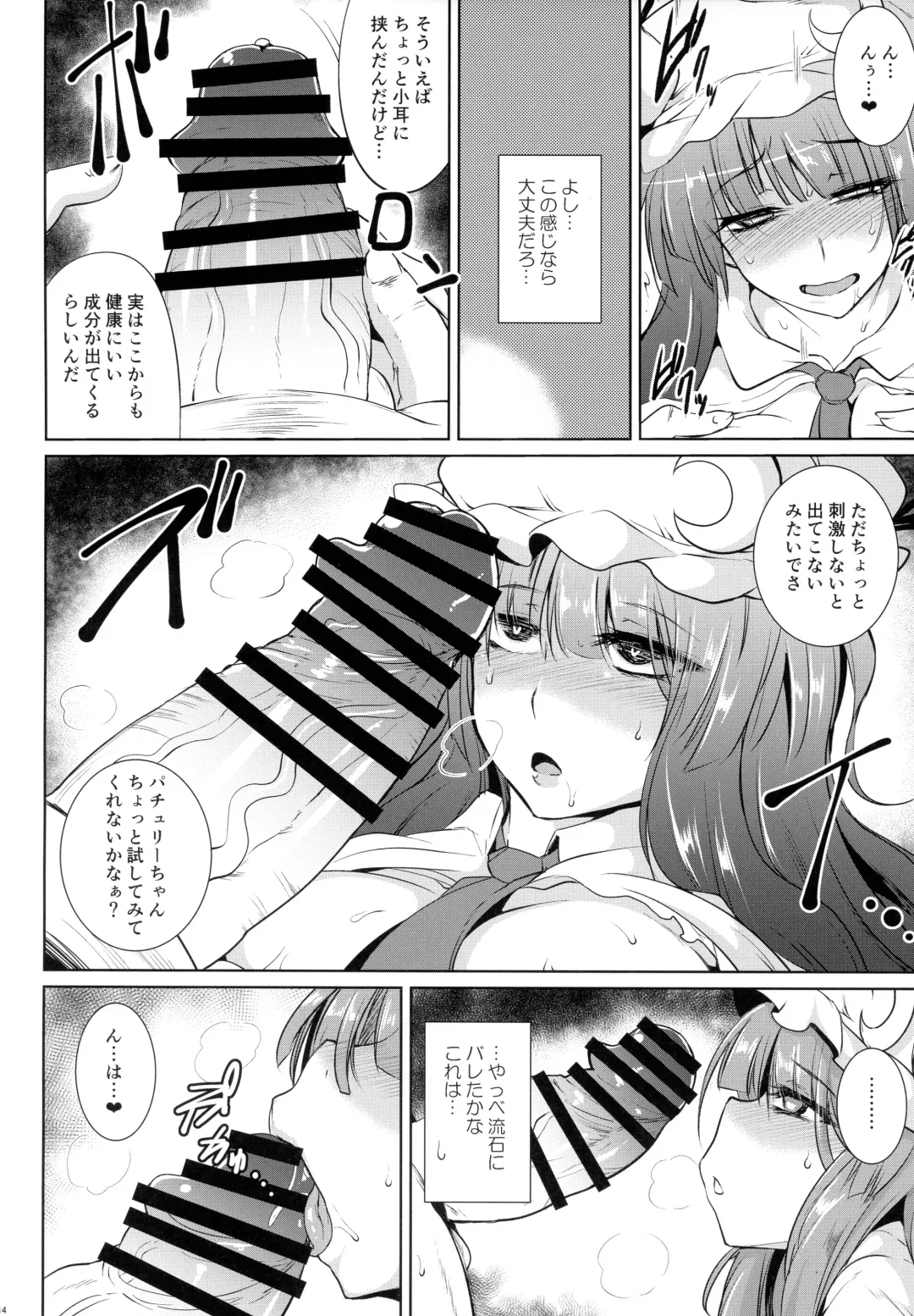 [Sanwaribiki] Gensou Enkou -Knowledge- Fhentai - Page 13